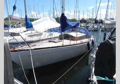 Splinter 30 Sejlbåd 1970, med Timray motor, Holland