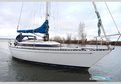 Standfast 33 Sejlbåd 1979, Holland