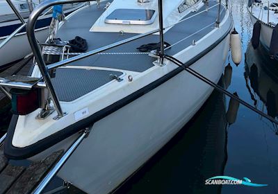 Sunwind 31 Sejlbåd 1984, med Volvo Penta motor, Danmark