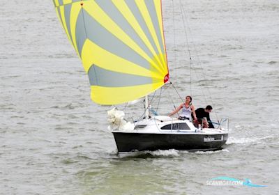 Surprise Sejlbåd 1983, Belgien