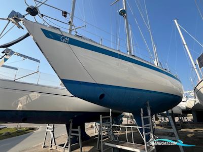 Sweden Yachts C41 Sejlbåd 1983, med Volvo Penta D2-55 motor, Danmark