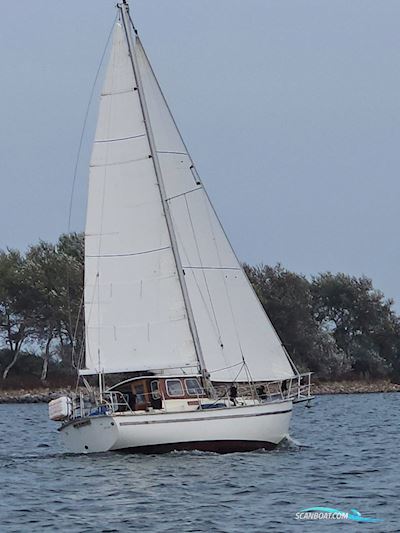 Taling 32 ST Sejlbåd 1988, med Vetus motor, Holland