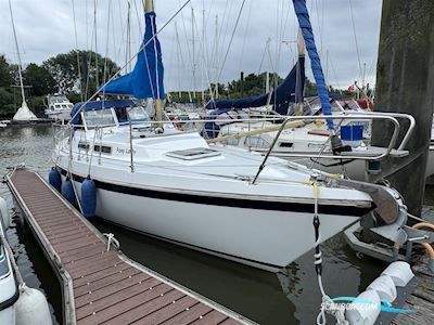 Targa Yachts Finnland Targa 9,60 Sejlbåd 1978, med Yanmar §YM30 AE motor, Tyskland