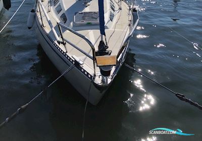 Trio 80 Sejlbåd 1980, med Yanmark 2GM20 motor, Danmark