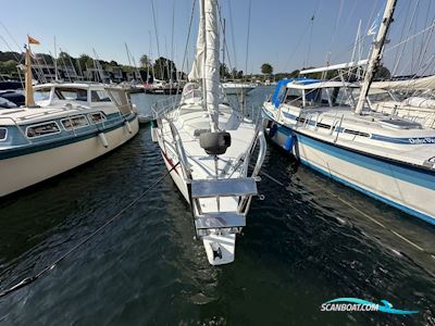 Vagabond 31 Sejlbåd 1983, med Yanmar
 motor, Danmark