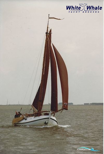 Vollenhovense Bol 9.75 Sejlbåd 1991, med Thornycroft motor, Holland