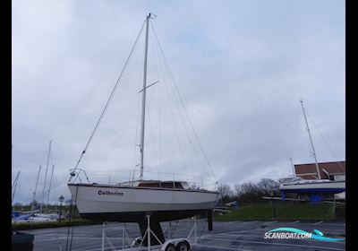 Waarschip 730 Sejlbåd 1980, med Mercury motor, Holland