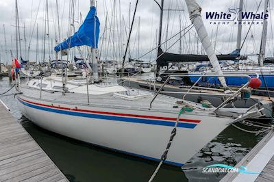 Wasa 38 IMS Sejlbåd 1999, med Volvo Penta motor, Holland
