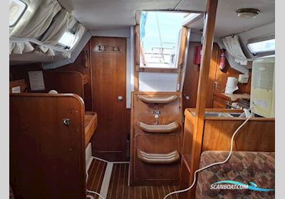 Westerly Storm 33 Sejlbåd 1987, med Yanmar 2GM20F motor, Irland