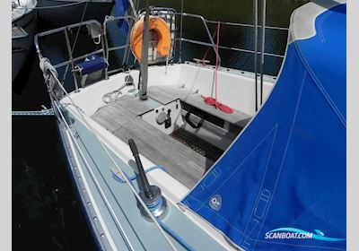 Willing 31 Sejlbåd 1983, med Volvo Penta motor, Holland