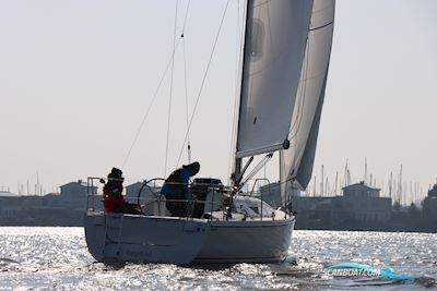 Winner 900 Sejlbåd 2013, med Yanmar motor, Holland