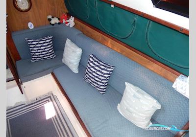 Winsor Everitt 29 Sejlbåd 1982, Tyrkiet