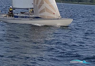 Ylva Special