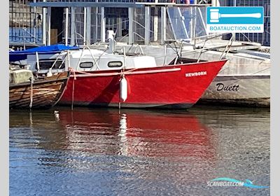 Cabin Sailboat 800 Småbåt 2024, Holland