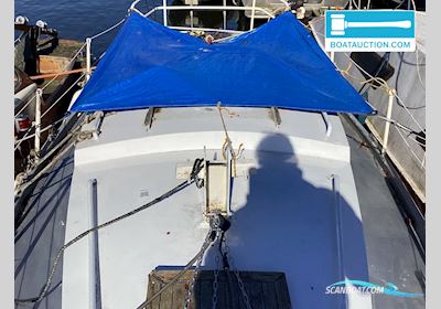 Cabin Sailboat 800 Småbåt 2024, Holland