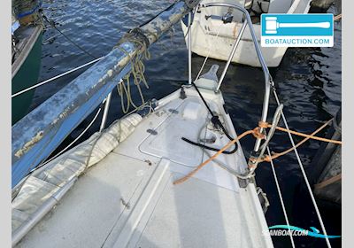 Kajuitzeilboot 600 Småbåt 2024, med Honda motor, Holland