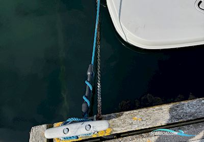 Larson Senza 186 Speedbåd 2006, med Volvo Penta 4,3 Gxi (225) motor, Danmark
