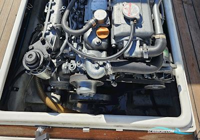 Castoldi Jet Tender 18 m. Diesel Motor Sportsboot 2008, mit Yanmar motor, Dänemark