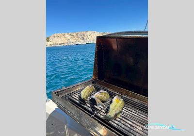 Brunswick Marine Quicksilver 855 Active Cruiser Avec Place Workship 2015, with MERCURY engine, France