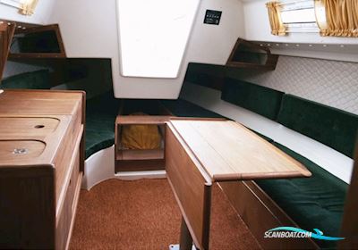 Albin Accent 26 Zeilboten 1974, met Yanmar Y8B motor, Denemarken