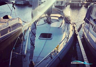 Albin Accent 26 Zeilboten 1974, met Yanmar Y8B motor, Denemarken