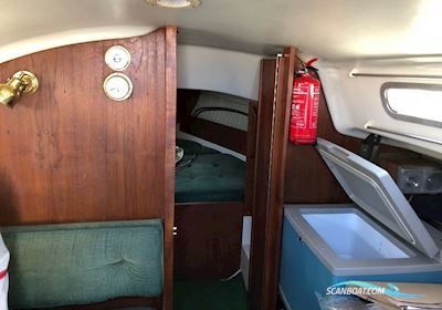 Albin Accent 26 Zeilboten 1974, met Yanmar Y8B motor, Denemarken