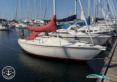 Albin Cirrus Zeilboten 1978, met Volvo Penta 2010 D/MS motor, Denemarken