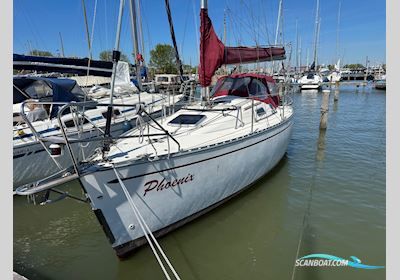 Arion 29 Zeilboten 2008, met Volvo Penta motor, The Netherlands