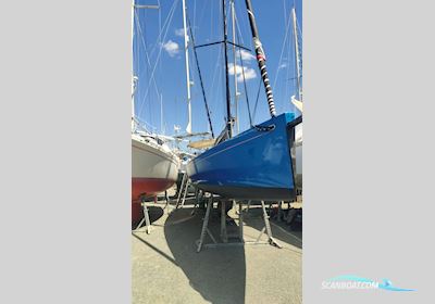 Black Pepper Code 0 Daysailer Zeilboten 2014, met Nanni motor, France