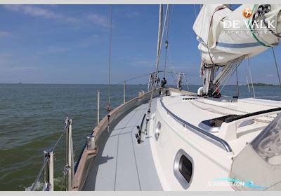 Bornrif 33 Zeilboten 2016, met Volvo Penta motor, The Netherlands