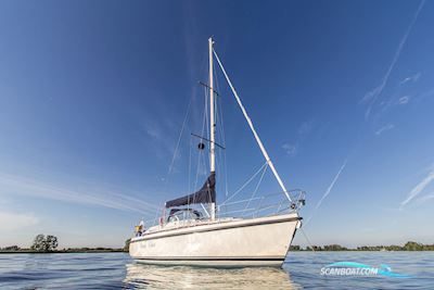 C-Yacht 1040 Zeilboten 2006, met Yanmar motor, The Netherlands