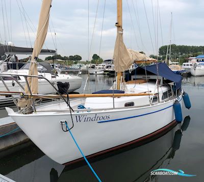 Carena 32 Zeilboten 1965, met Vetus motor, The Netherlands