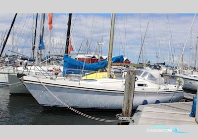 Contest 31 HT Zeilboten 1984, met Volvo Penta motor, The Netherlands