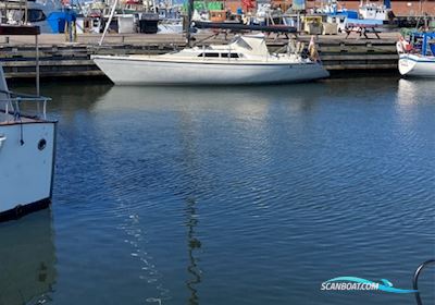 Dehler 34 Optima 101 Zeilboten 1986, met Yanmar 2gm20 motor, Denemarken