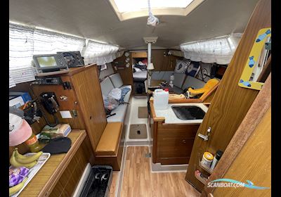 Dehler Optima 92 Zeilboten 1976, met Ruggerini motor, Duitsland