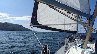 Dufour Gib