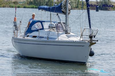 Elan 34 Zeilboten 1998, met Yanmar motor, The Netherlands