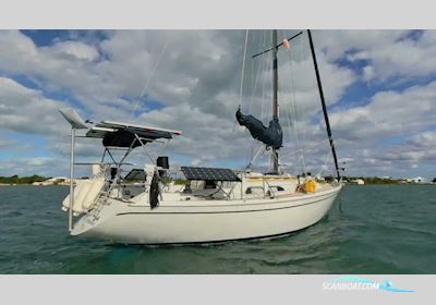 Ericson 32 3 Zeilboten 1987, met Universal motor, Virgin Islands