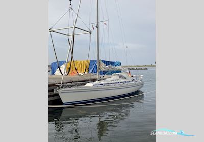 Faurby 363 de luxe Zeilboten 1998, met Volvo Penta MD 2030 motor, Duitsland