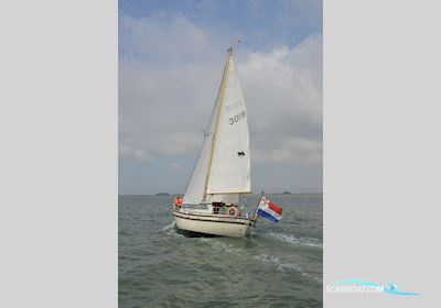 Fjord 33 MS Zeilboten 1973, met Perkins motor, The Netherlands