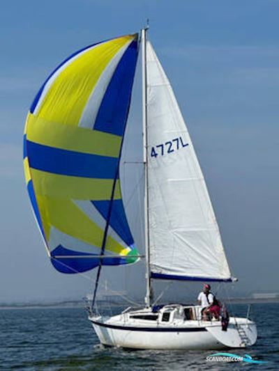 Gib Sea 84 Zeilboten 1984, met Beta BD722 - New 2004 motor, United Kingdom