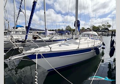 Hallberg-Rasssy 312 Middelfart Zeilboten 1984, met Volvo Penta D1-30F motor, Denemarken