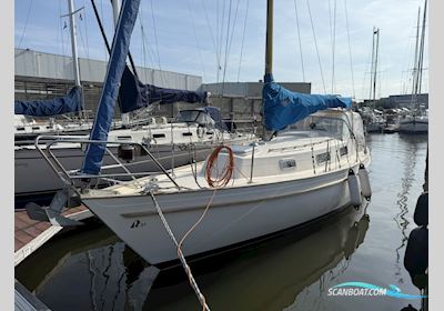 Hallberg Rassy 31 Monsun Zeilboten 1979, met Volvo Penta motor, The Netherlands