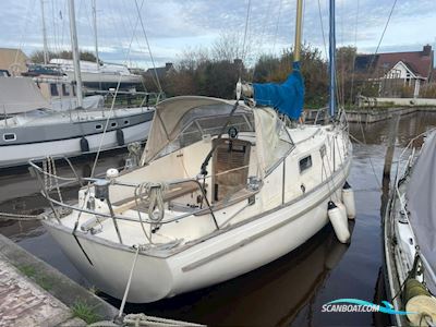 Hallberg Rassy 31 Monsun Zeilboten 1976, met Volvo Penta motor, The Netherlands
