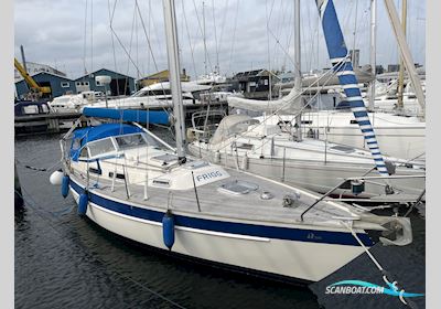 Hallberg Rassy 312 - 1991 - Aalborg Zeilboten 1991, met Volvo Penta D1-30F motor, Denemarken