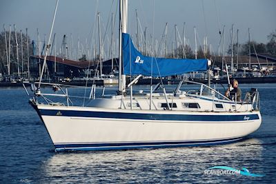 Hallberg Rassy 34 Zeilboten 1996, The Netherlands