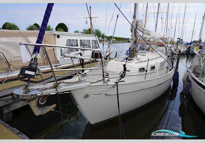 Hallberg Rassy 35 Zeilboten 1979, The Netherlands