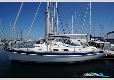 Hallberg Rassy 37 Zeilboten 2008, met Yanmar motor, The Netherlands