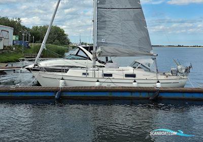 Hallberg-Rassy Monsun 31 Zeilboten 1979, met Volvo Penta D1-30F motor, Poland