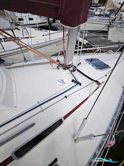 Hanse 291 Zeilboten 1996, met Volvo Penta 2010B motor, Duitsland